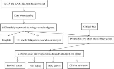 Prediction of Overall Survival Rate in Patients With Hepatocellular Carcinoma Using an Integrated Model Based on Autophagy Gene Marker